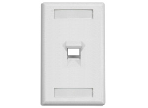 DINTEK 1 Port Angled Wall Plate US Style