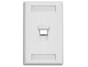 DINTEK 1 Port Angled Wall Plate US Style