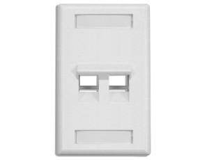 DINTEK 2 Port Angled Wall Plate US Style
