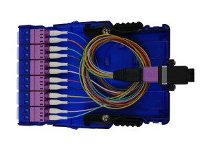MPO - LC Fiber Cassette - 12C OM4 (UPC) - With Cable